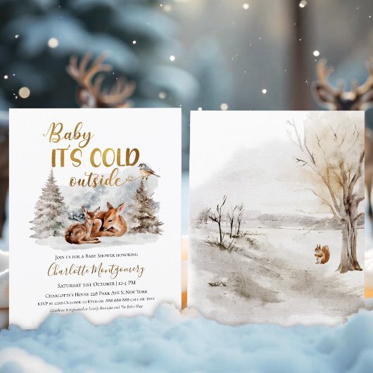 Baby het is koud buiten Baby Shower Uitnodigingen