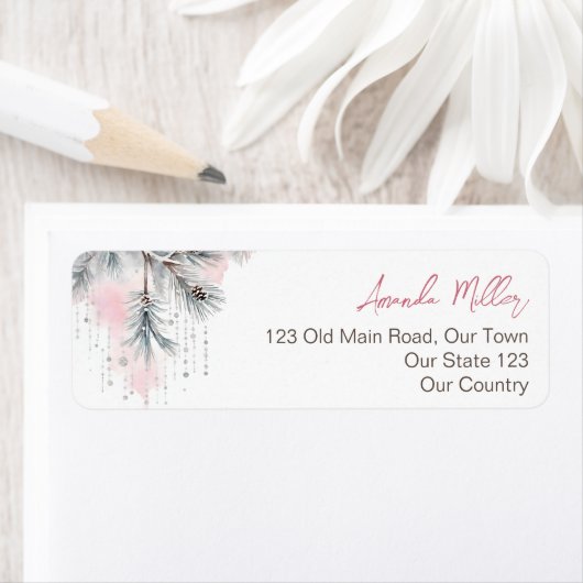 Baby het is koud buiten het baby shower van de win etiket (Insitu)