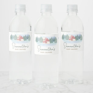 Baby Het is koud buiten het Baby shower van de win Waterfles Etiket