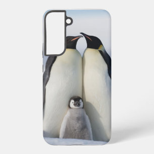 Baby het is koud buiten pinguïn samsung galaxy cas hoesje