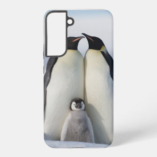 Baby het is koud buiten pinguïn samsung galaxy cas hoesje