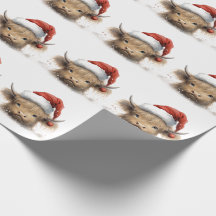 Baby Highland Koe met Santa hat