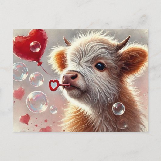 Baby Highland Koe Valentijn Briefkaart (Voorkant)