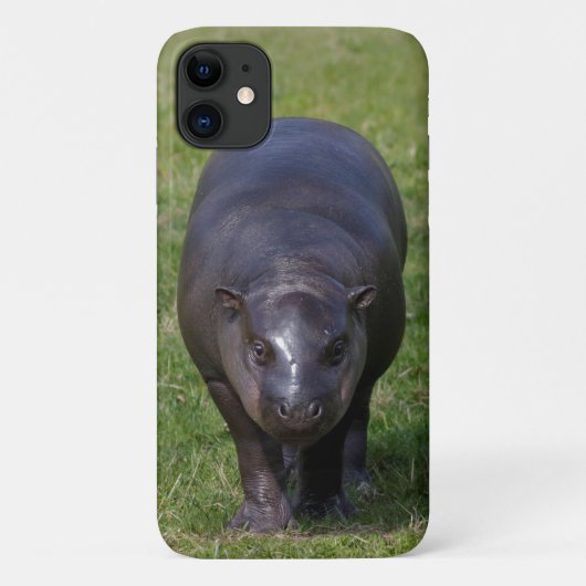 Baby Hippo iPhone 11 Hoesje (Achterkant)