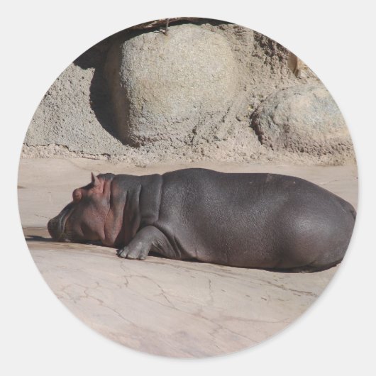 Baby Hippo Ronde Sticker (Voorkant)