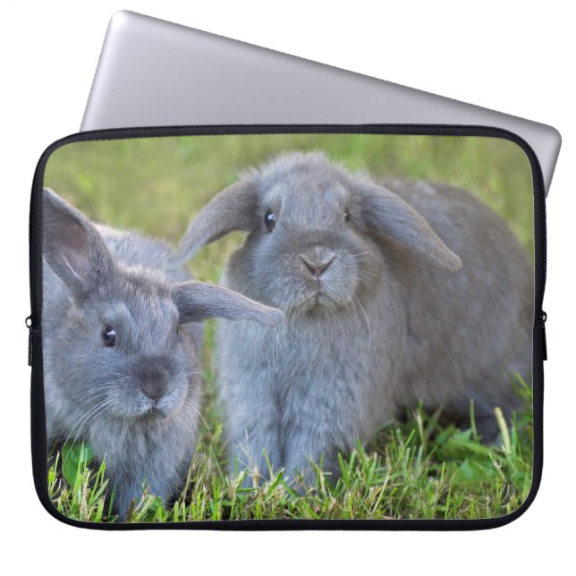 Baby Holland Lop Bunnies - Cute Rabbits Laptop Sleeve (Voorkant)