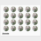 Baby Holland Lop Bunny Ronde Sticker (Vel)