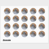 Baby Homing Pigeon Stickers (Vel)