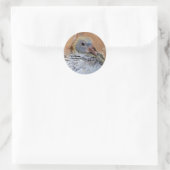Baby Homing Pigeon Stickers (Tas)
