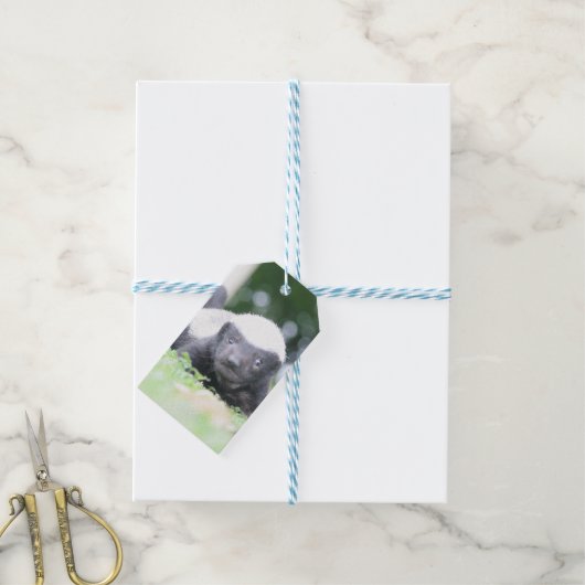 Baby honingbadger cadeaulabel (Met Touw)
