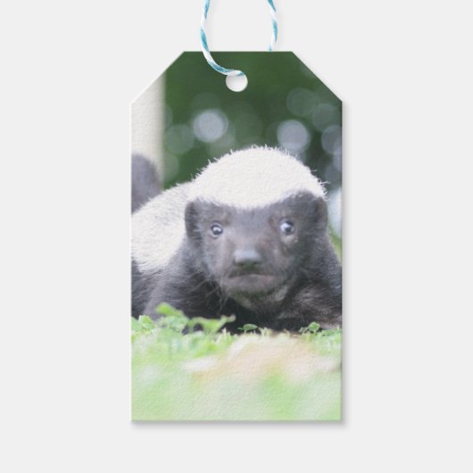 Baby honingbadger cadeaulabel (Voorkant)