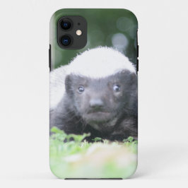 Baby honingbadger Case-Mate iPhone case