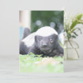 Baby honingbadger feestdagenkaart (Staand voorkant)