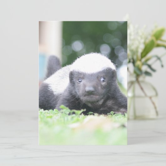 Baby honingbadger feestdagenkaart (Staand voorkant)