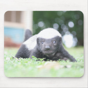 Baby honingbadger muismat