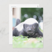 Baby Honingdas op groene grasfoto Feestdagenkaart (Voorkant / Achterkant)