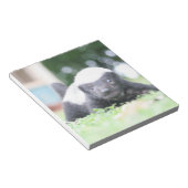 Baby Honingdas op groene grasfoto Notitieblok (Schuin)