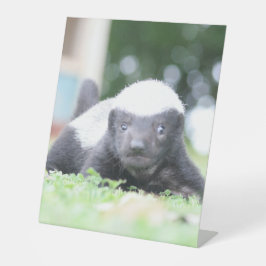 Baby Honingdas op groene grasfoto Reclamebord Met Voetstuk