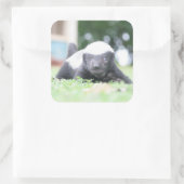 Baby Honingdas op groene grasfoto Vierkante Sticker (Tas)