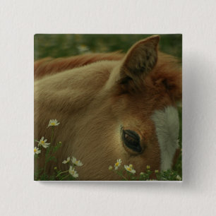 Baby Horse Square Pin Vierkante Button 5,1 Cm
