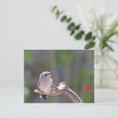 Baby Hummingbird Briefkaart (Staand voorkant)