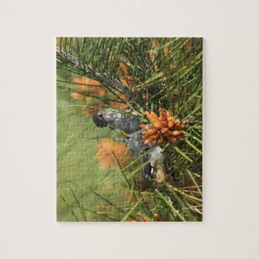 Baby Hummingbird Fed by Moeder Legpuzzel (Verticaal)