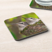 Baby hummingbirds drankjes onderzetter (Linkerzijde)