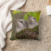 Baby hummingbirds kussen (Deken)