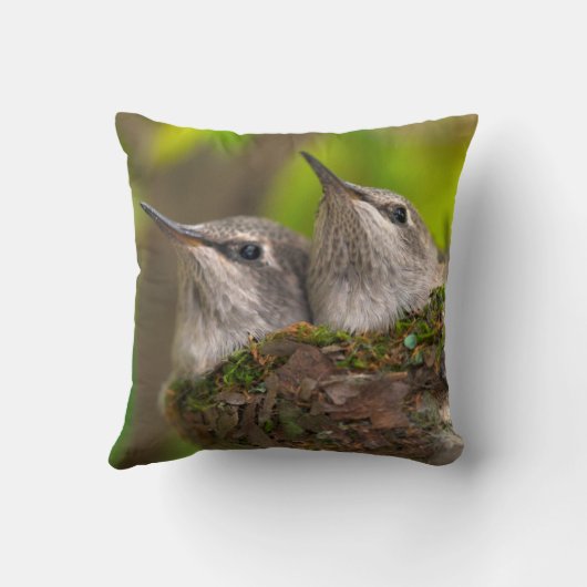 Baby hummingbirds kussen (Achterkant)