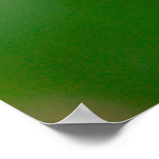 Baby hummingbirds poster (Hoek)