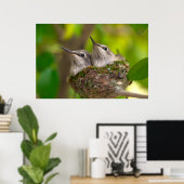 Baby hummingbirds poster (Thuiskantoor)