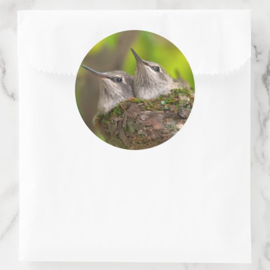 Baby hummingbirds ronde sticker (Tas)