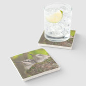 Baby hummingbirds stenen onderzetter (Zijkant)