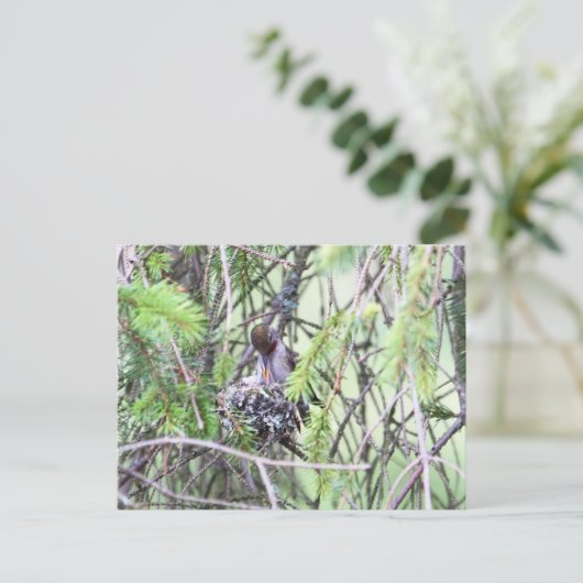 Baby Hummingvogels in een nest Briefkaart (Staand voorkant)