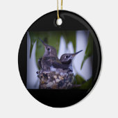 Baby Hummingvogels Keramisch Ornament (Links)