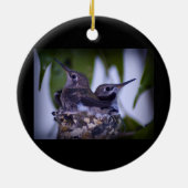 Baby Hummingvogels Keramisch Ornament (Achterkant)