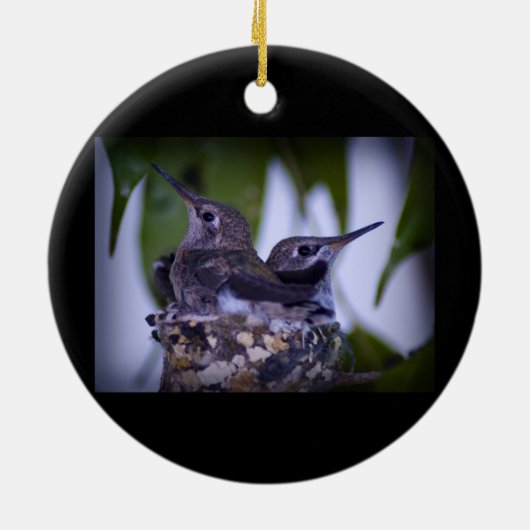 Baby Hummingvogels Keramisch Ornament (Achterkant)