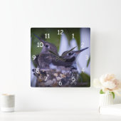 Baby Hummingvogels Vierkante Klok (Huis)