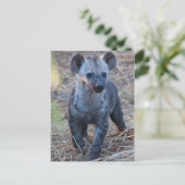 Baby Hyena Briefkaart (Staand voorkant)