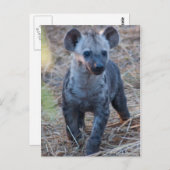 Baby Hyena Briefkaart (Voorkant / Achterkant)