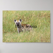 baby hyena poster (Voorkant)