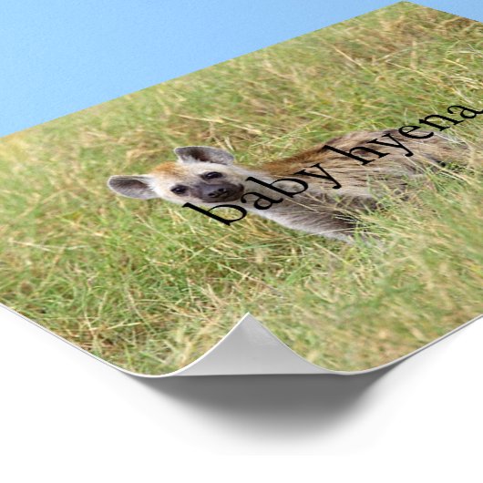 baby hyena poster (Hoek)