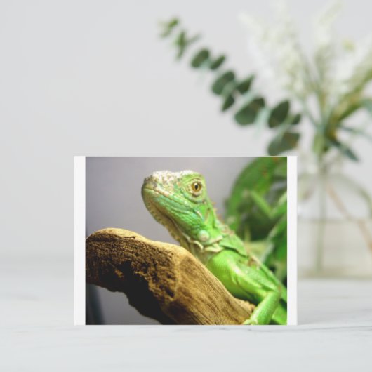 Baby Iguana Briefkaart (Staand voorkant)