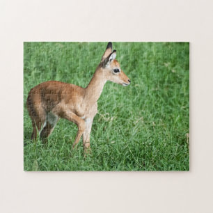 Baby Impala in Lush Green Grass Jigzaag Puzzle Legpuzzel