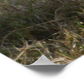 Baby in Afrika Poster (Hoek)