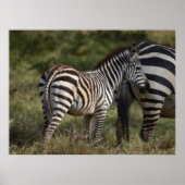 Baby in Afrika Poster (Voorkant)