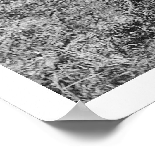 Baby in Alaska 1915 Poster (Hoek)