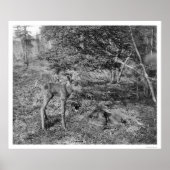 Baby in Alaska 1915 Poster (Voorkant)