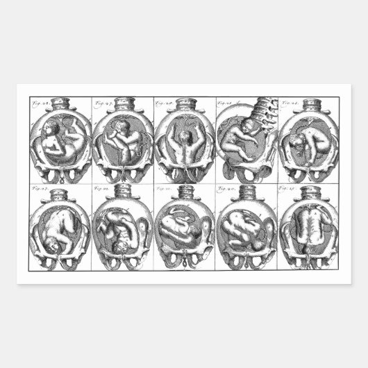 Baby in baarmoeder vroedvrouw anatomie illustrati rechthoekige sticker (Voorkant)