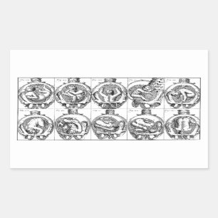 Baby in baarmoeder  vroedvrouw anatomie illustrati rechthoekige sticker